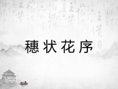 穗状花序