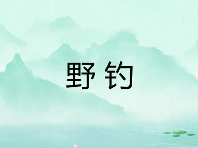 野钓