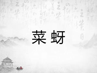 菜蚜