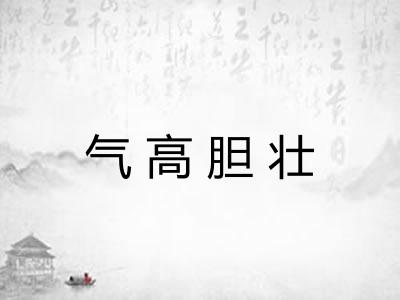 气高胆壮