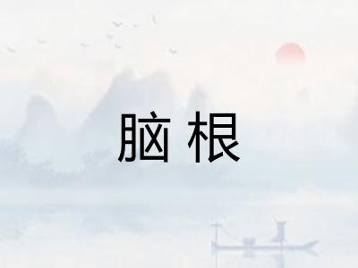 脑根