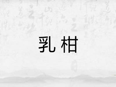 乳柑