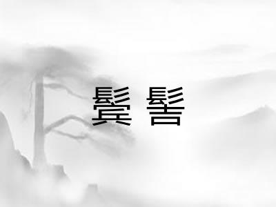 鬓髻