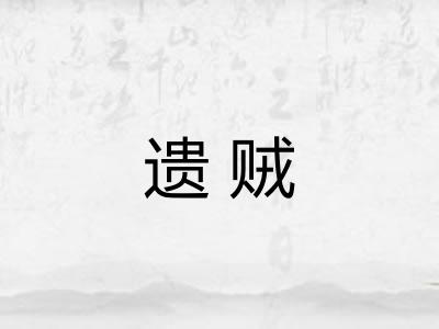 遗贼