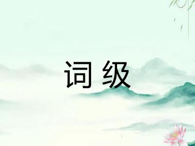 词级
