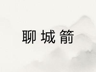 聊城箭