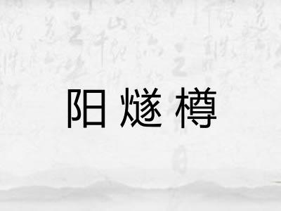 阳燧樽