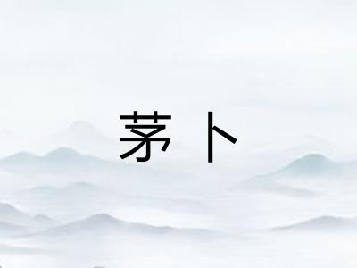 茅卜