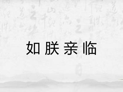 如朕亲临