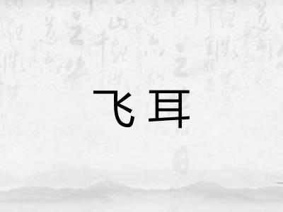 飞耳