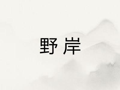 野岸