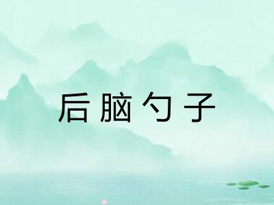 后脑勺子