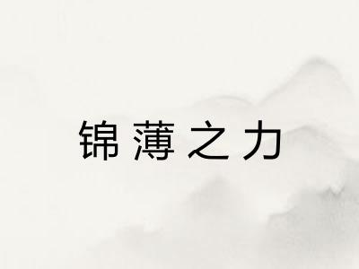 锦薄之力