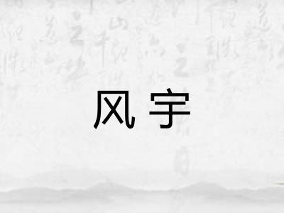风宇
