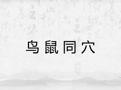 鸟鼠同穴