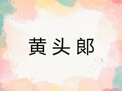 黄头郞
