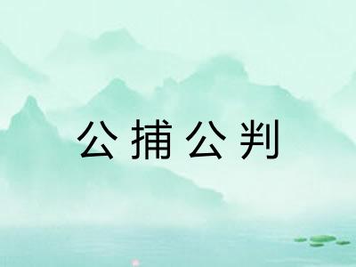 公捕公判