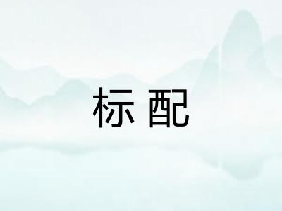 标配