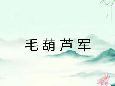毛葫芦军
