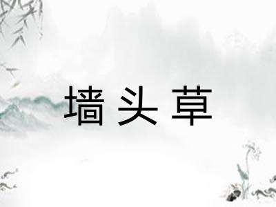 墙头草