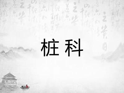 桩科