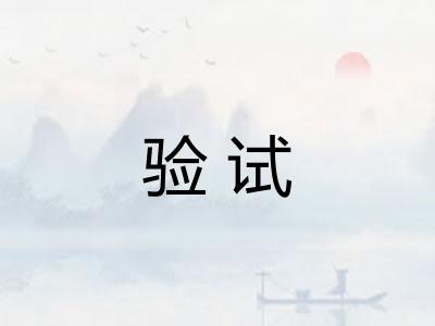 验试