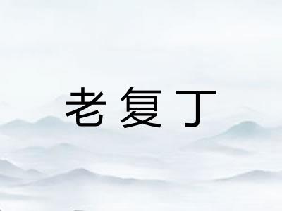 老复丁