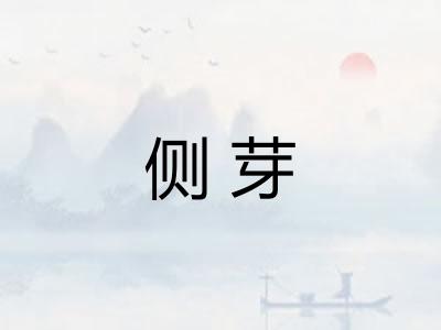 侧芽