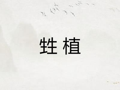 甡植