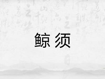 鲸须