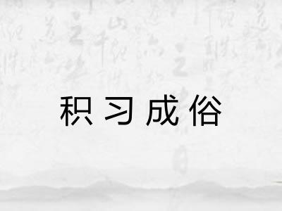 积习成俗