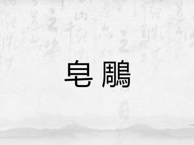 皂鵰