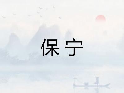 保宁