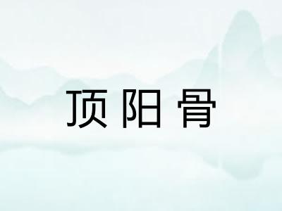 顶阳骨