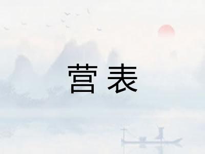 营表