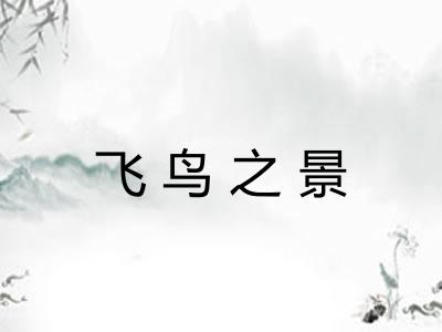 飞鸟之景