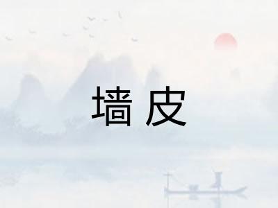 墙皮