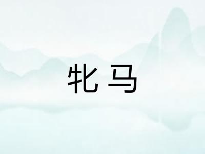 牝马