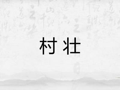 村壮