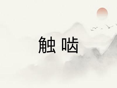 触啮