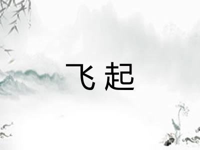 飞起