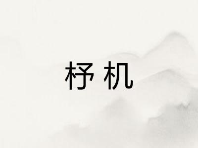 杼机
