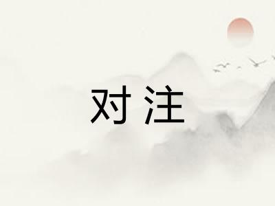 对注