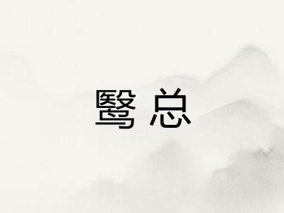 鹥总