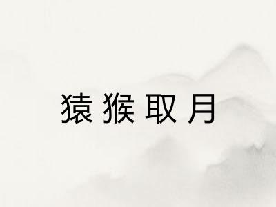 猿猴取月