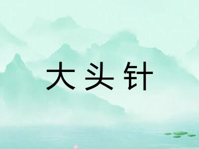 大头针
