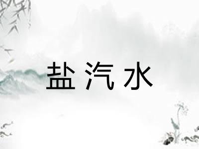 盐汽水