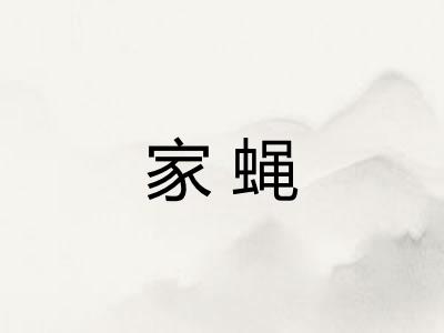 家蝇