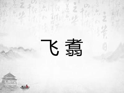 飞翥