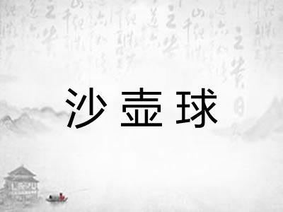 沙壶球